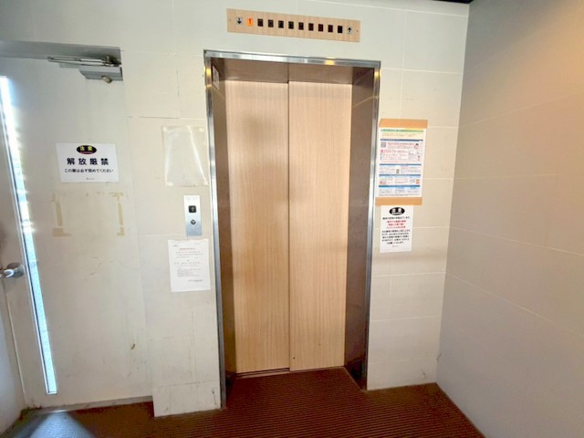 ピカソ平野のその他写真