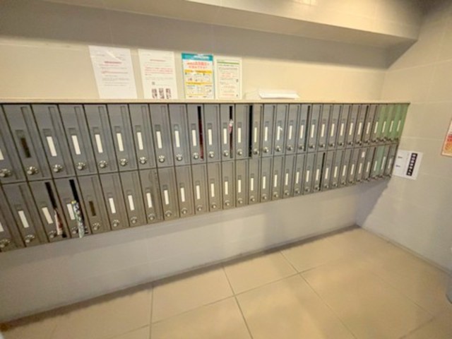 ピカソ平野のその他写真