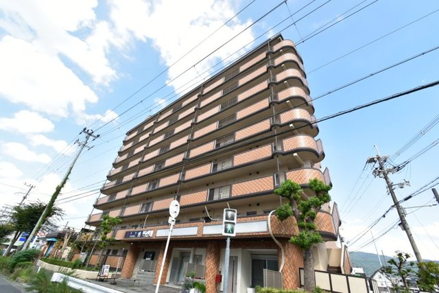 シロハイヌ今米の外観写真