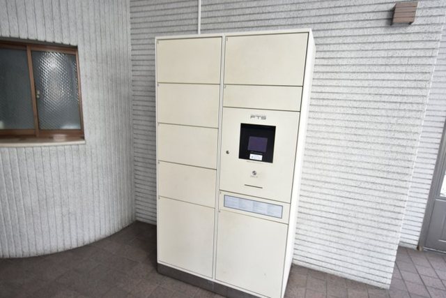 シロハイヌ今米のその他写真