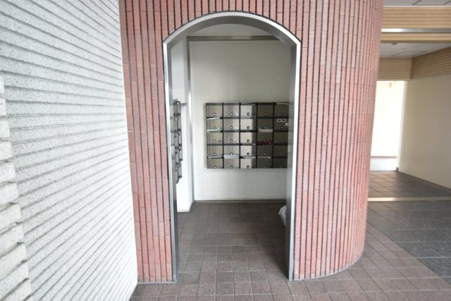 シロハイヌ今米のその他写真
