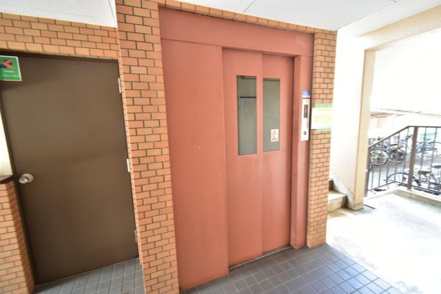 シロハイヌ吉田のその他写真