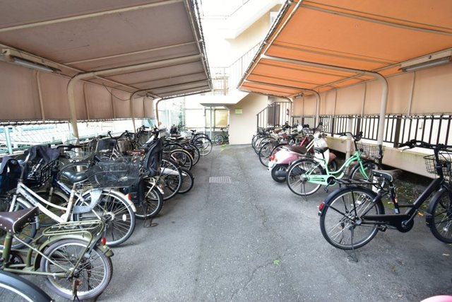 シロハイヌ吉田のその他写真
