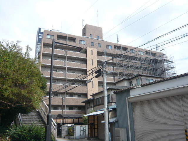 パレオーギ