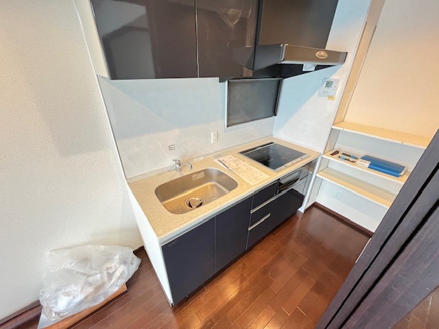 サニープレイス西芦屋2号館のキッチン写真