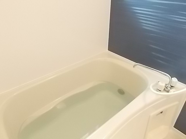 カーサ ルミノーザの風呂写真