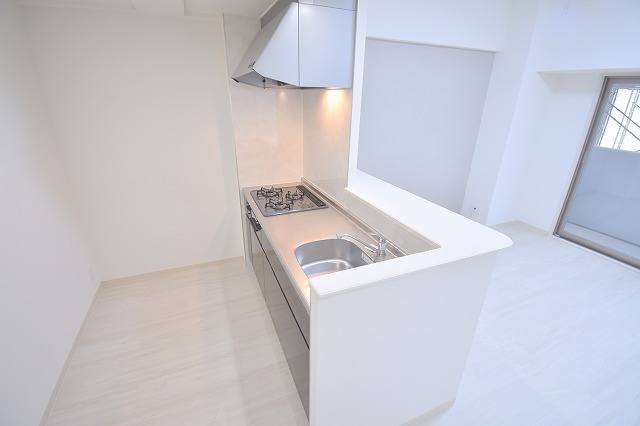 Reiwanity Placeのキッチン写真