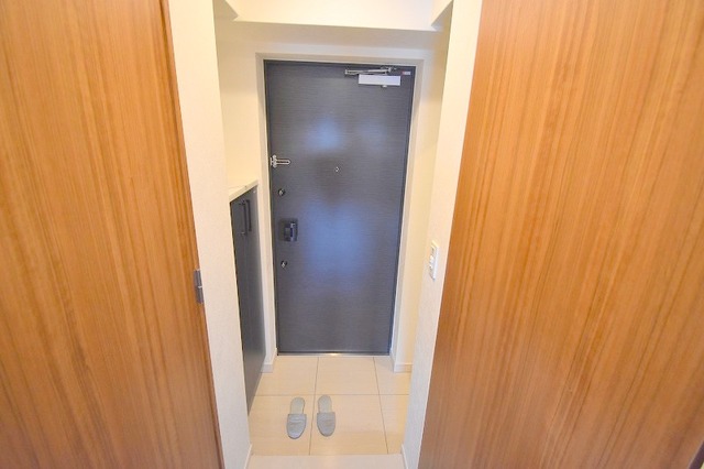 LUMINOUS三国本町の玄関写真