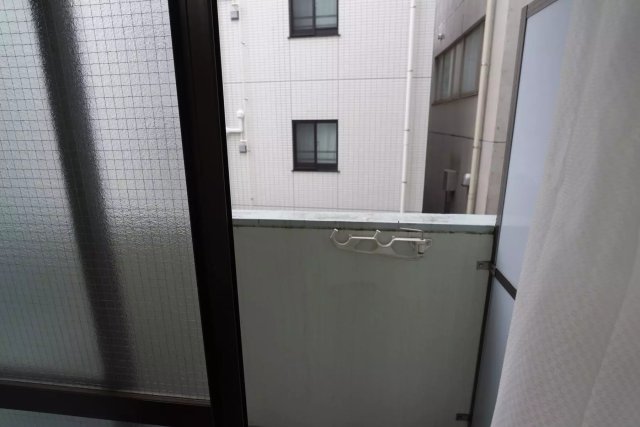 AP1060 ピアニシオン ブローニュ クレストのその他写真