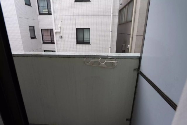 AP1060 ピアニシオン ブローニュ クレストのその他写真