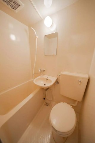 AP228 ライフピアストーンのその他写真
