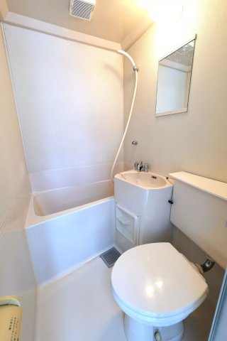 AP492 ホワイトハイツのその他写真