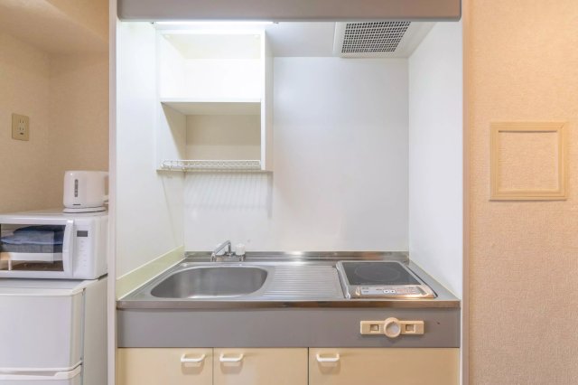 AP856 チェリーブラッサムTaKeDa2のキッチン写真