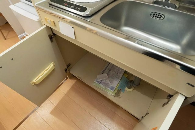 AP1231 クロノス北小岩のキッチン写真