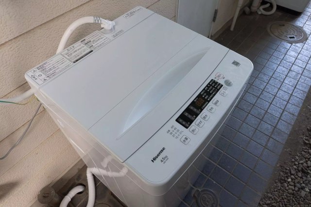 AP1383 コウズィネスアサカのその他写真