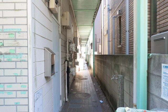 AP1383 コウズィネスアサカのその他写真