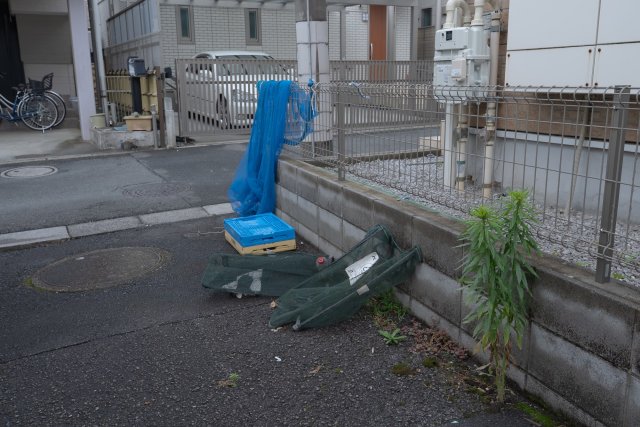 AP1571 サンヒルズ赤塚のその他写真