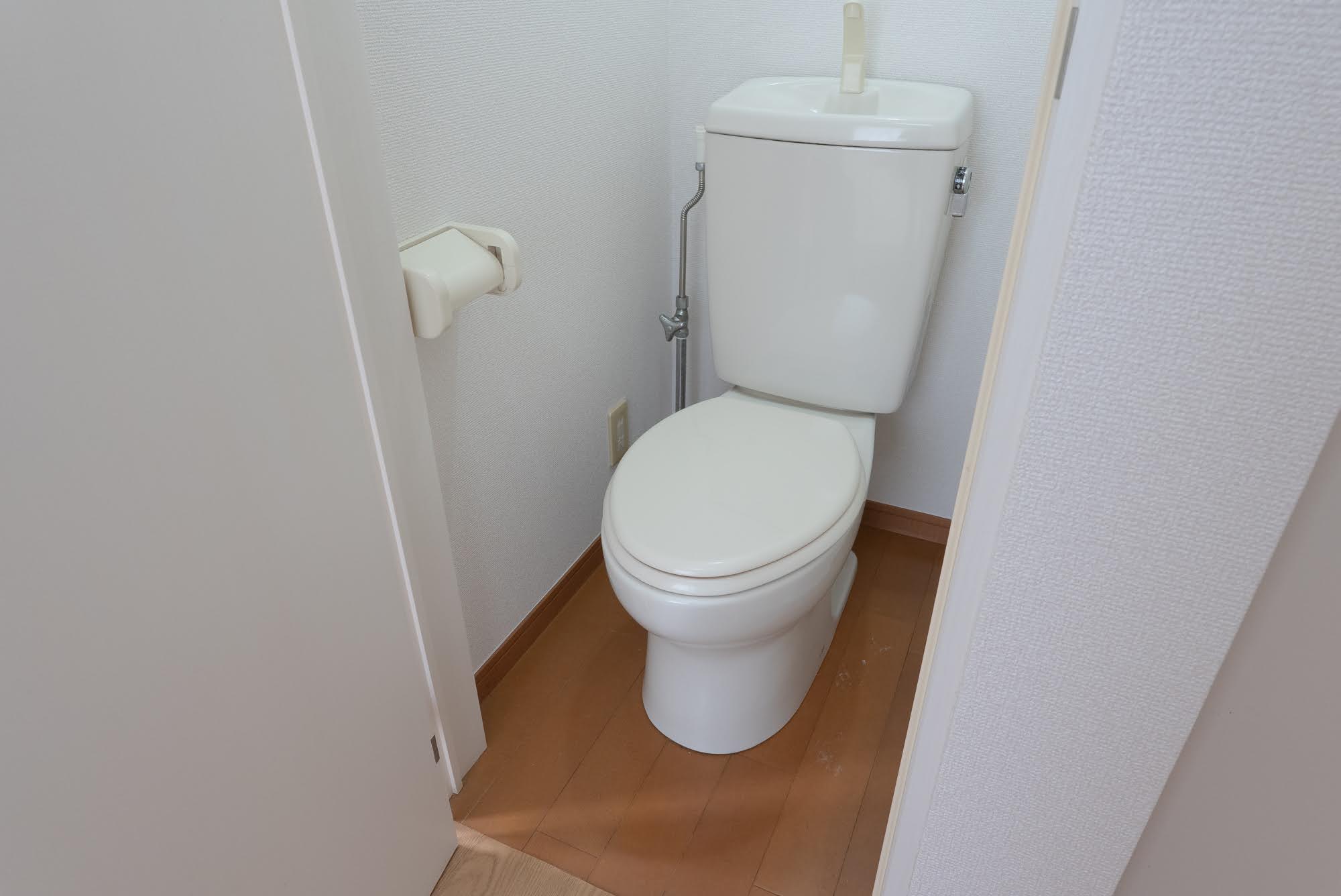 AP1583 シエスタルイスのその他写真
