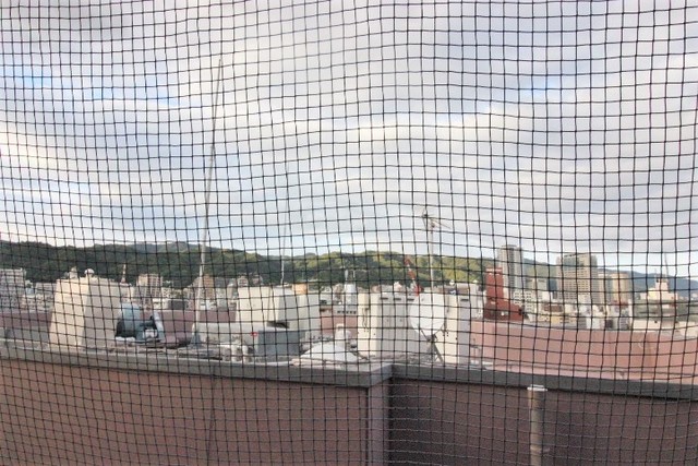 ネオアージュ神戸元町のその他写真