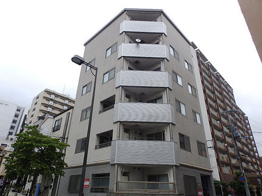 STRAUSS六甲