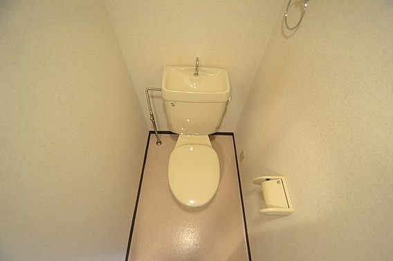 フォルティナドムスのその他写真