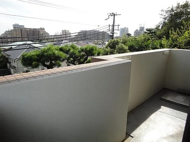 フォレスト岡本のその他写真