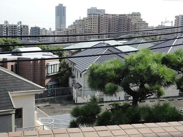 フォレスト岡本のその他写真