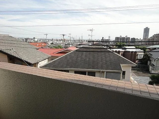 フォレスト岡本のその他写真