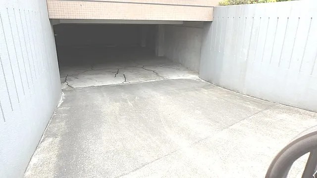 フォレスト岡本のその他写真