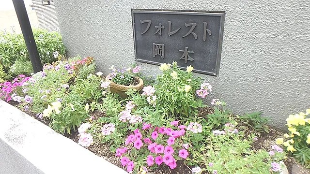 フォレスト岡本の外観写真