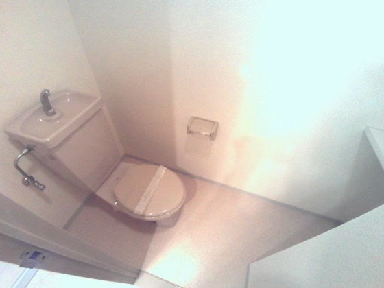 パレオーギのその他写真