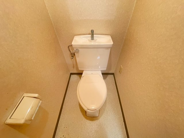 コムディッソエフモールのその他写真