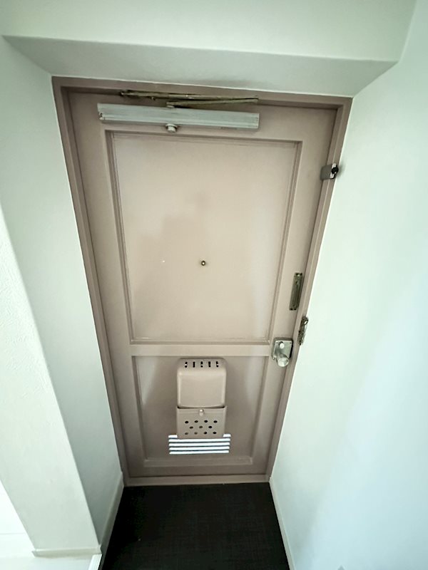 マンションハヤの玄関写真
