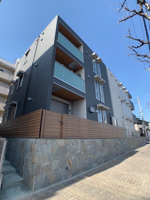 Sansevieria夏原