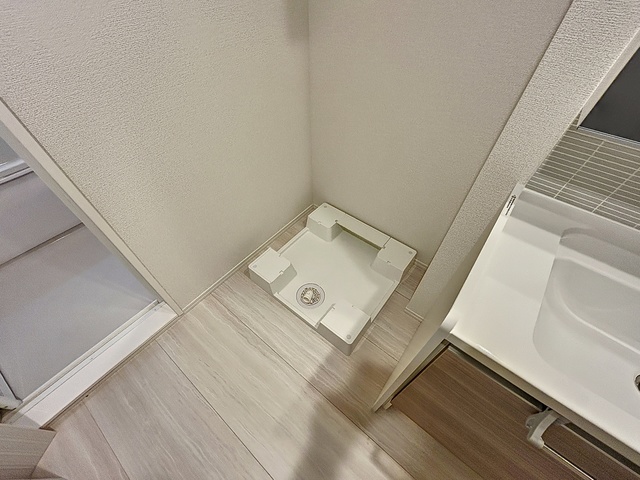 Sansevieria夏原のその他写真