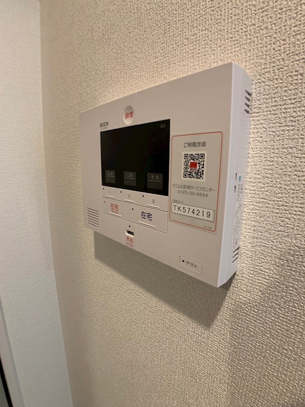 Sansevieria夏原のその他写真