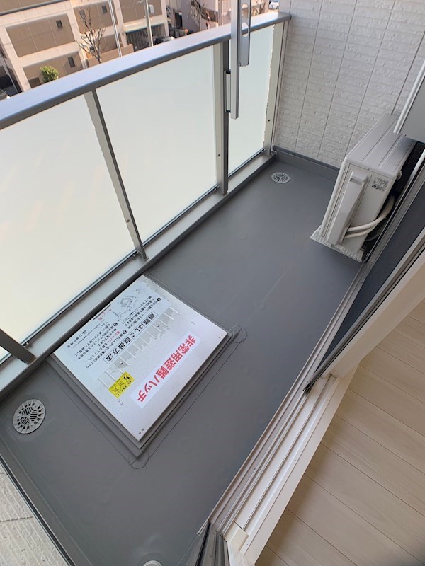 Sansevieria夏原のその他写真