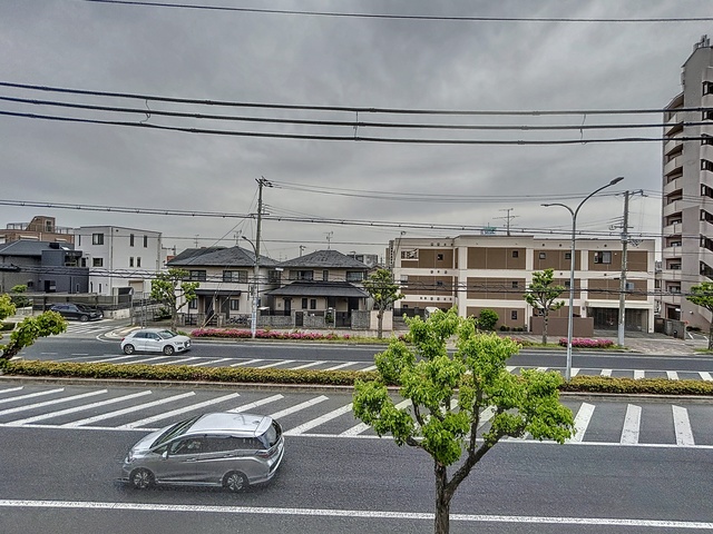 Sansevieria夏原のその他写真
