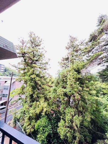 シャトー宮坂のその他写真