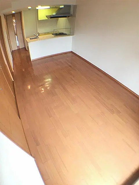 プレサンス神戸駅前グランツの居間写真