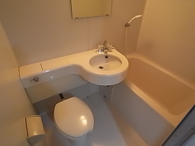 ライオンズマンション神戸元町第3の風呂写真