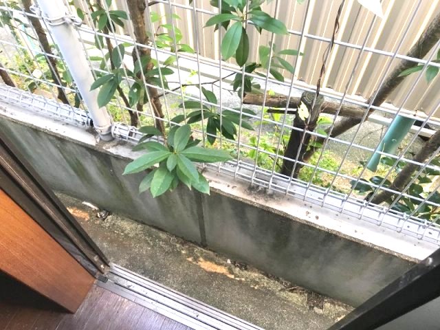 山城ハイツのその他写真
