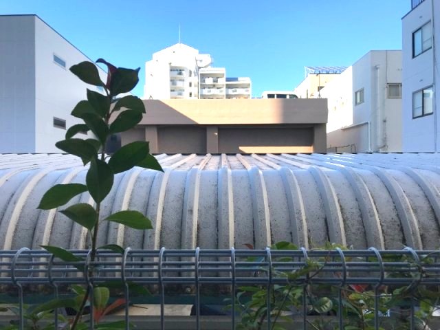 山城ハイツのその他写真