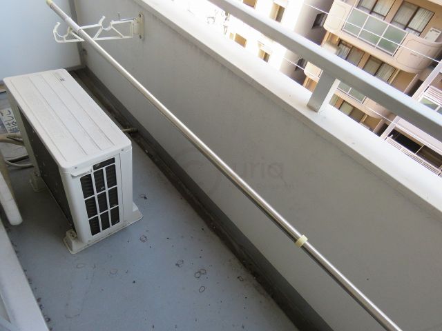 テレサエンバシのその他写真