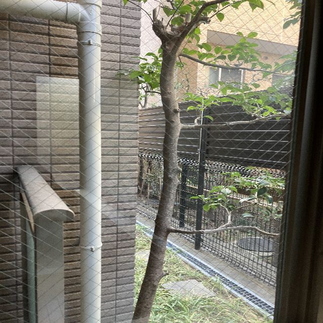 レゾネア芦屋翠ヶ丘のその他写真