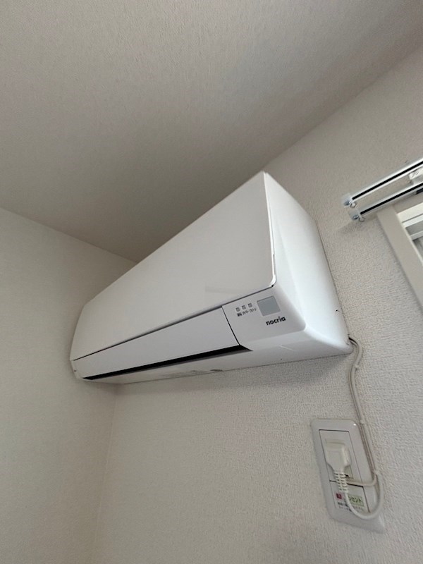 ヴェラ ロホのその他写真