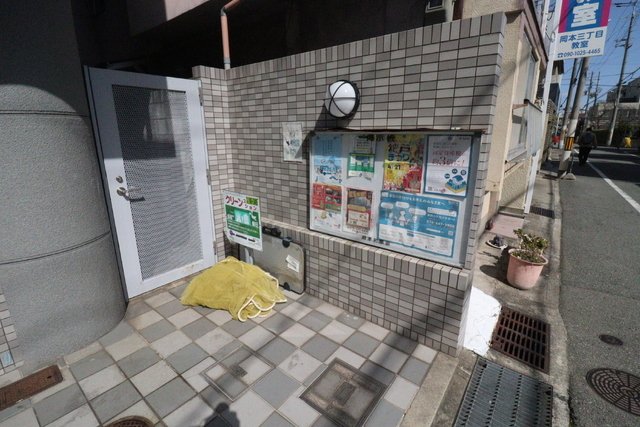 サウザー岡本のその他写真