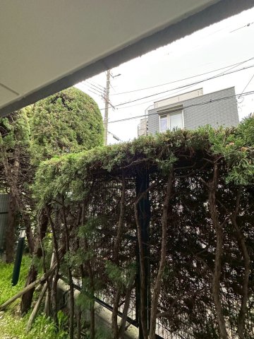 ロイヤル山芦屋のその他写真