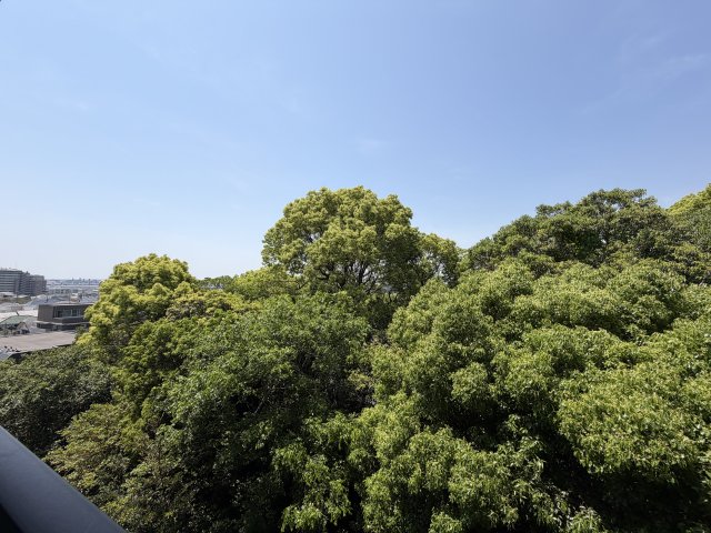 芦屋ハイツ翠ヶ丘のその他写真