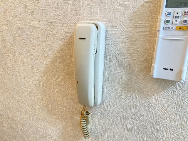 ヨーロピアンコンフォートのその他写真